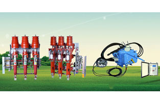 關(guān)于高壓負荷開關(guān)前面雷爾沃電器已經(jīng)為大家整理了不少知識，不知道你對柱上負荷開關(guān)有了解沒？如今在市場上比較常見的柱上負荷開關(guān)主要是壓氣式負荷開關(guān)以及真空負荷開關(guān)，我們分別來為大家做一個比較簡單的講解。